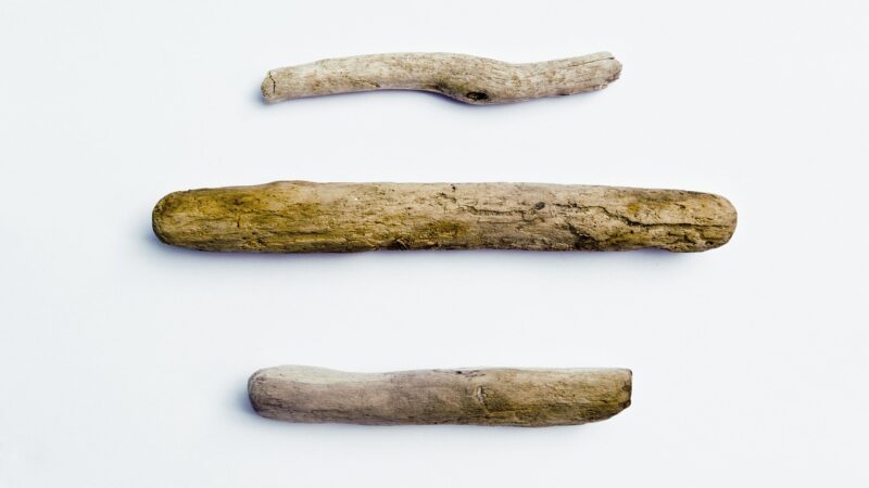 How to Combine Driftwood and Stone in One Aquascape