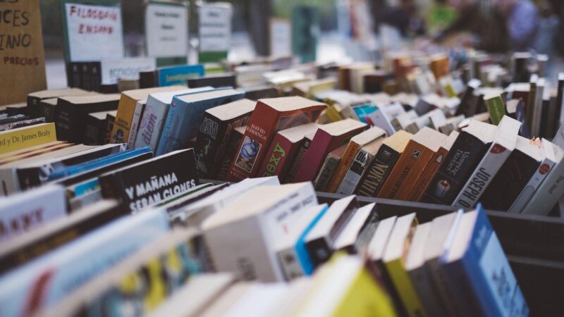 books, bookshop, bookstore, collection, rows, shop, stack, textbooks, read, knowledge, books, books, books, books, bookshop,