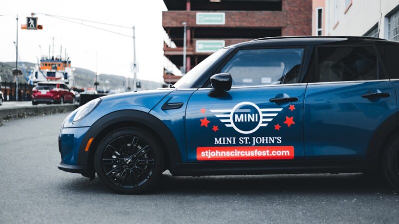 AR Mini Rosanervig Care Guide: Pink Veined Beauty