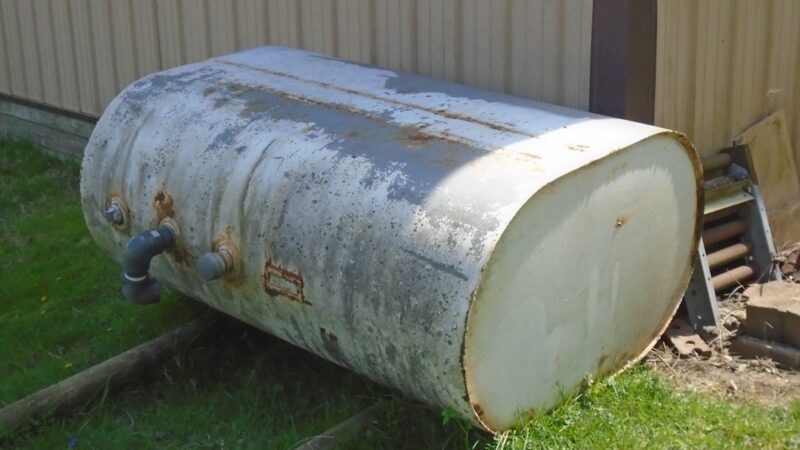 Best 40 Gallon Aquarium Stocking Ideas