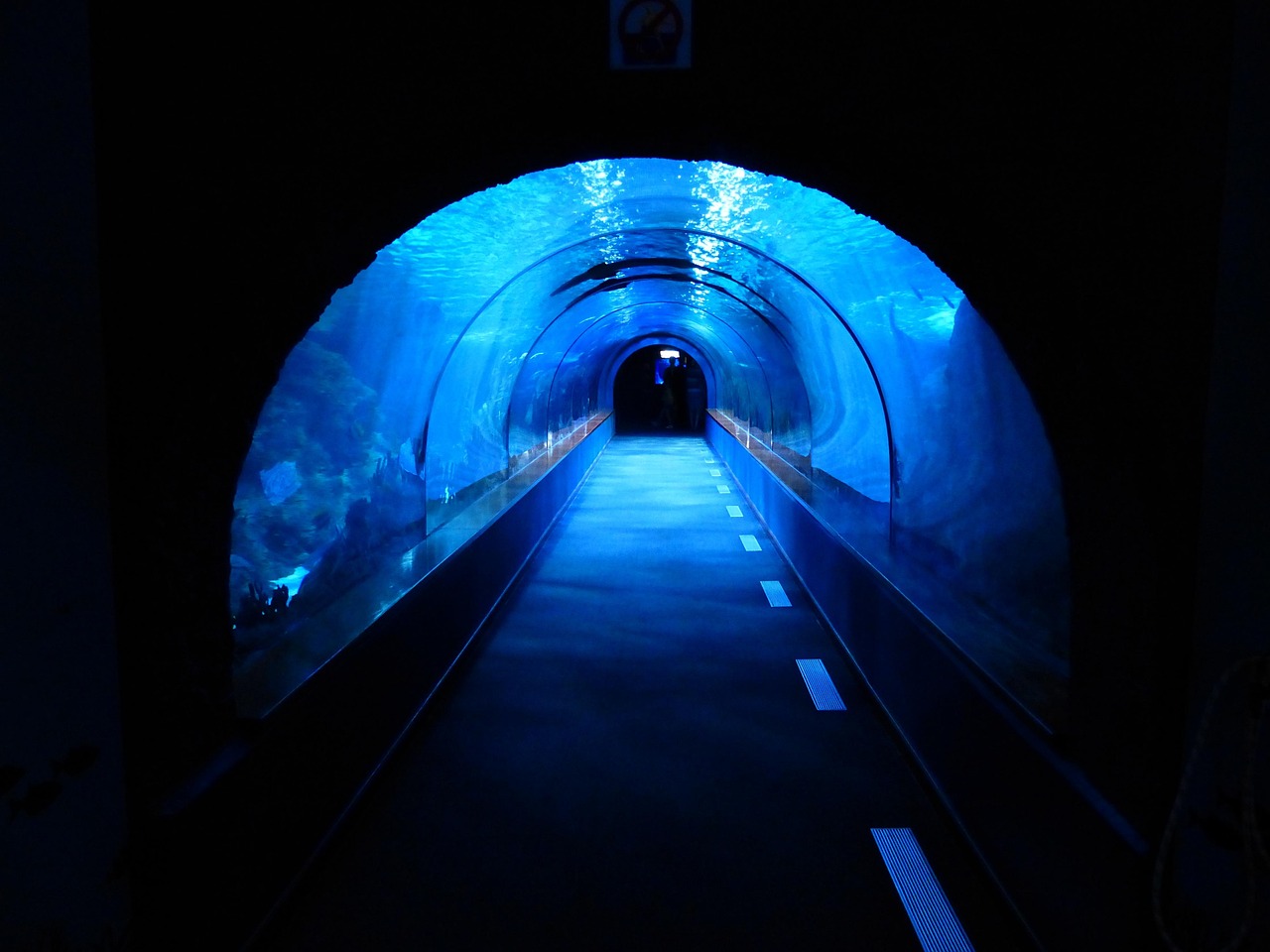 aquarium airline tubing comparison — featured image for best aquarium airline tubing comparison