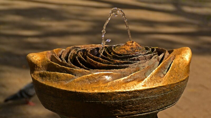 fountain, water jet, gargoyles, pool of water, water, water fountain, water feature, flow, nature, crystal clear, run down, w