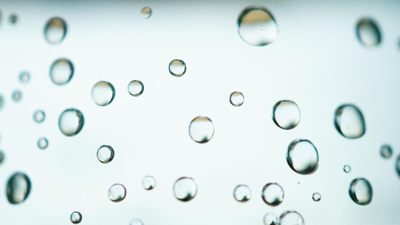 Best Aquarium Glass Cleaners: Magnetic, Blade and Scraper