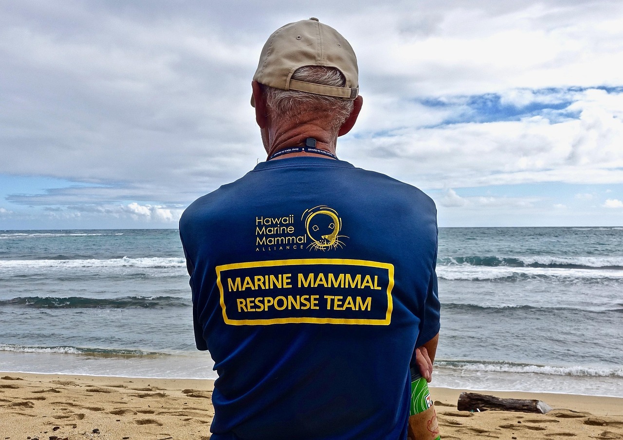 aquarium heater guard protector — featured image for best aquarium heater guard protector