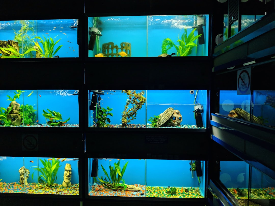Best Hang-On-Back Protein Skimmers for Nano Marine Tanks