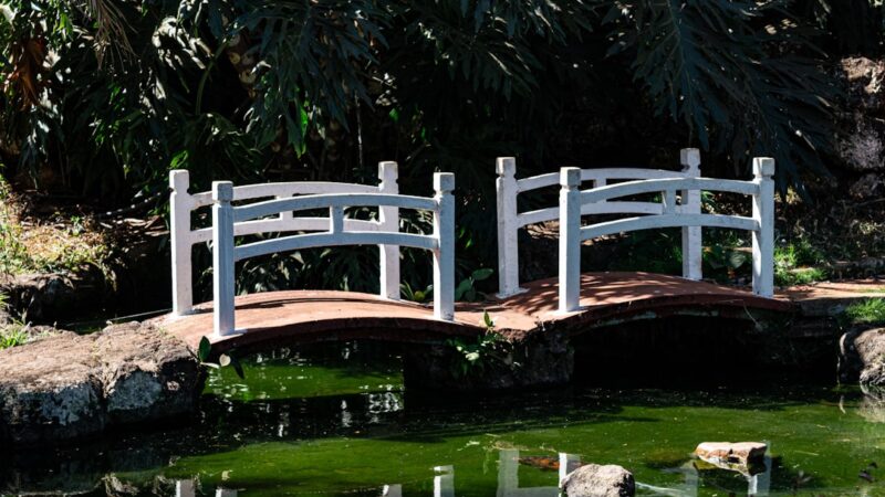 Two white arched bridges over a pond