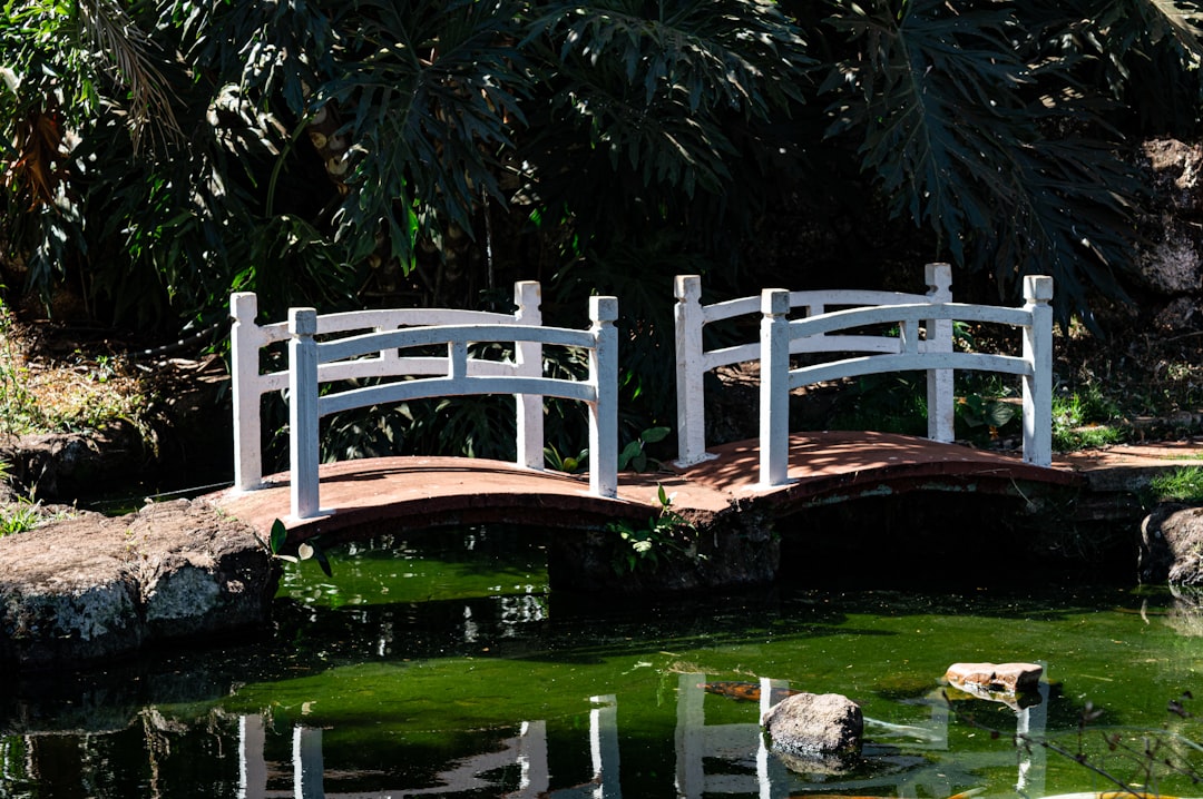 Two white arched bridges over a pond