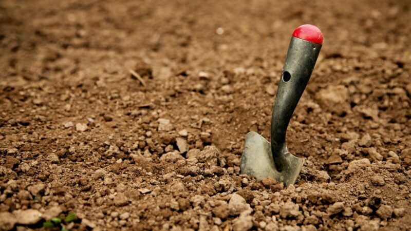 shovel, earth, hand shovel, dig, dirt, floor, shovel, shovel, shovel, shovel, shovel, dig, dig