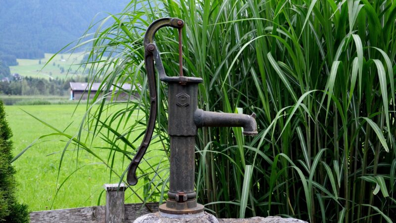 fountain, nature, pump, water, reed, drinking water, cock pump, antique, water pump, irrigation, hand wells