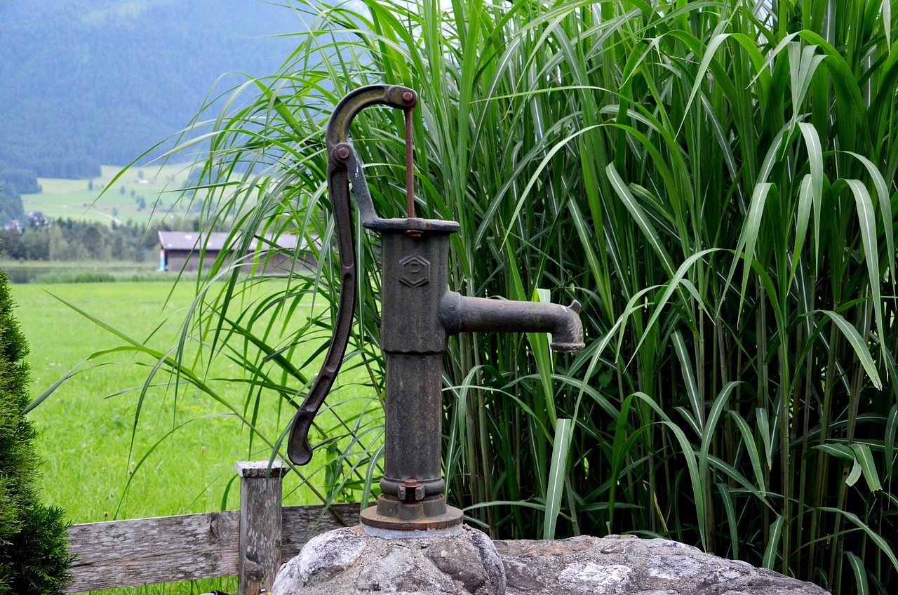 fountain, nature, pump, water, reed, drinking water, cock pump, antique, water pump, irrigation, hand wells