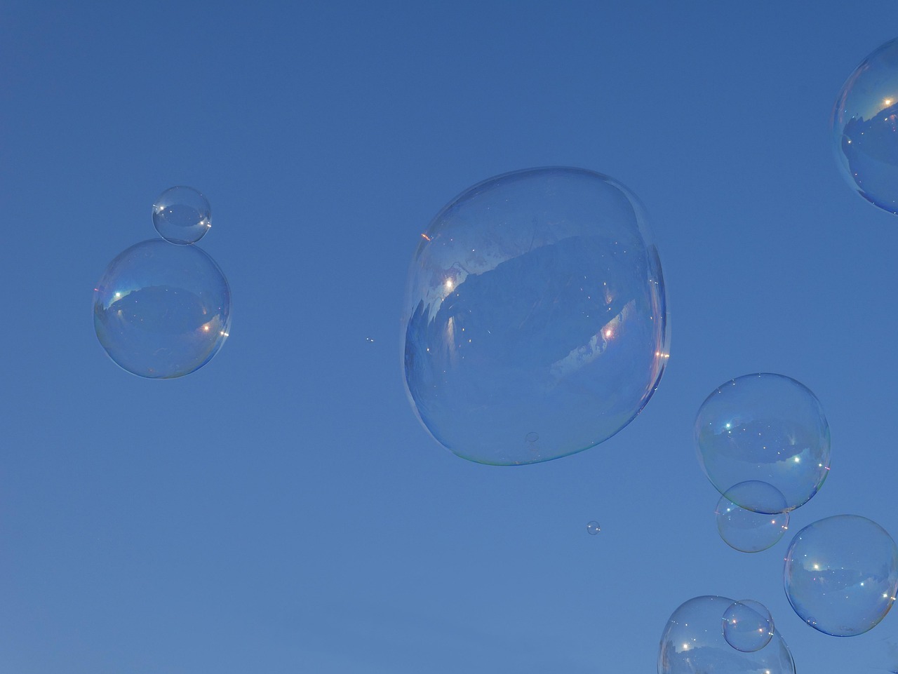 Best Battery Air Pumps for Aquariums: Power Outage Backup