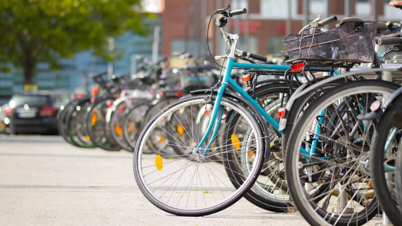 Best CO2 Systems for Planted Aquariums: Budget to Pro