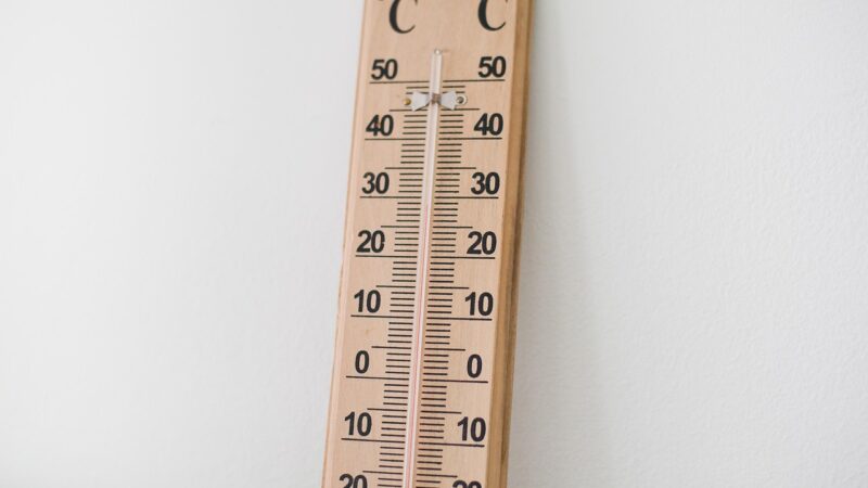 Best Digital Thermometers for Aquariums