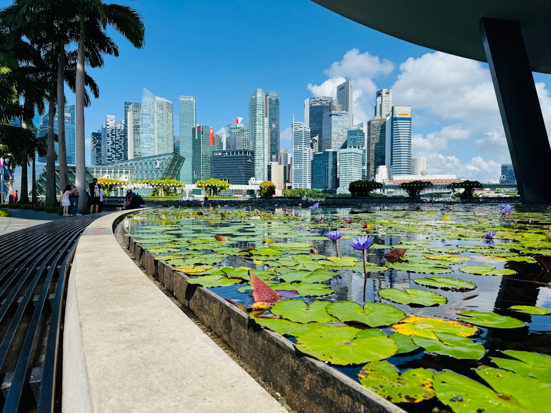 Best Fish for a Balcony Pond in Singapore