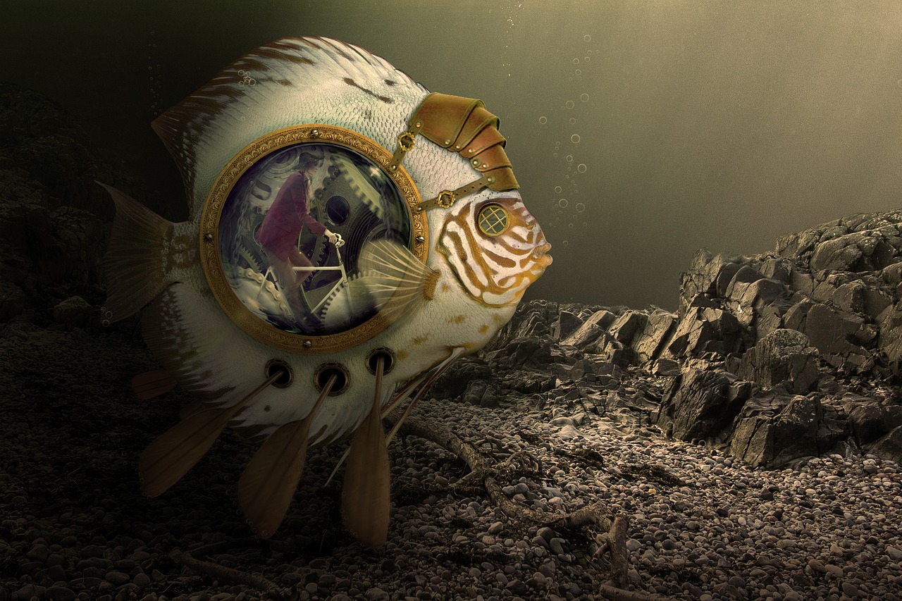 Blackwater Botanicals Guide: Indian Almond Leaves, Alder Cones and Pods