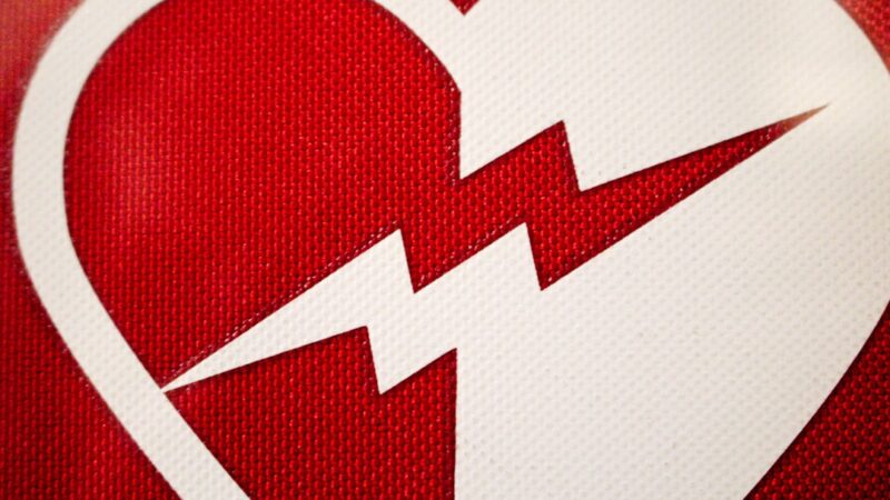 Bleeding Heart Tetra Care Guide: Drama and Colour in Schools