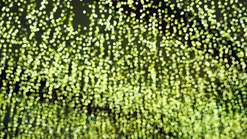 green bokeh wallpaper