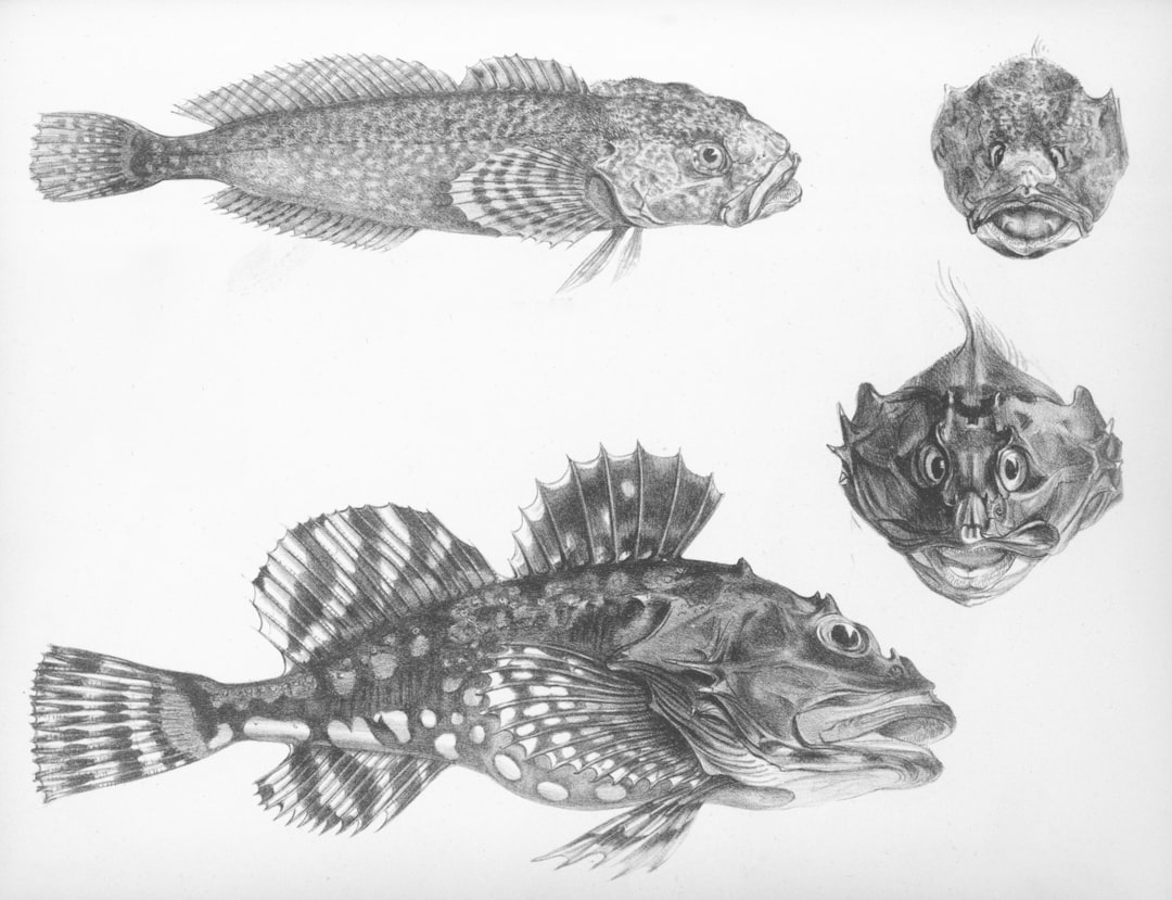 Boraras Species Guide: 5 Micro Rasboras Compared