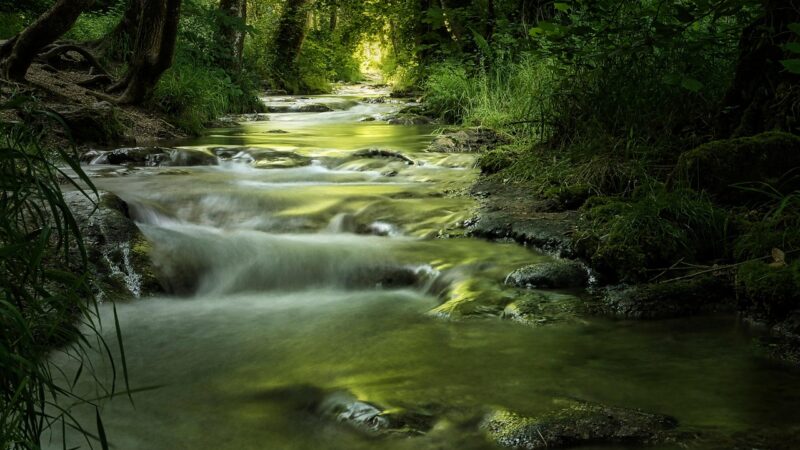 bach, moss, stream landscape, nature, green, water, mystical, light, bruehlbach, smooth, bad urach