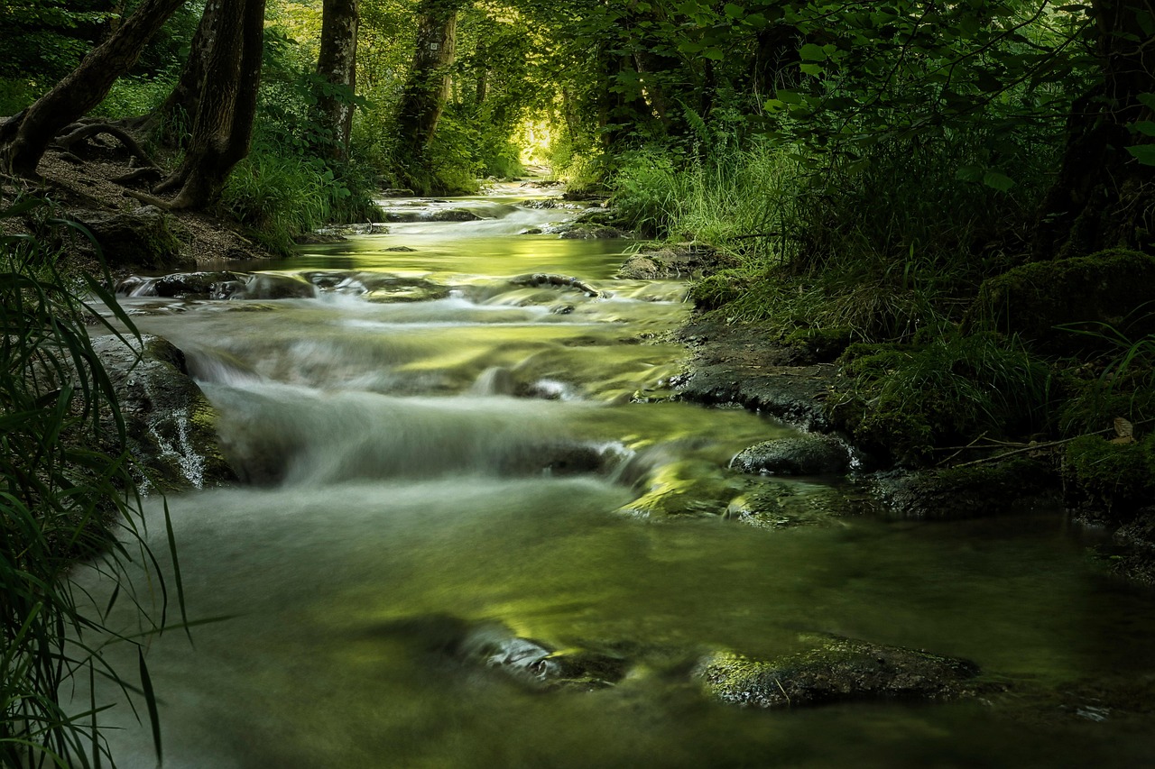 bach, moss, stream landscape, nature, green, water, mystical, light, bruehlbach, smooth, bad urach