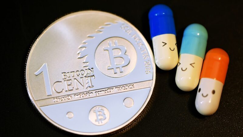 Bucephalandra Mini Coin Care Guide: Tiny Round Leaves