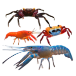 Crayfish & Crabs