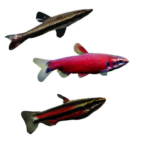 Pencil Fish