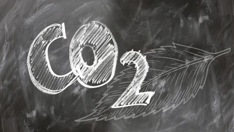 CO2 Bubble Rate vs Tank Volume Chart Guide: BPS Targets