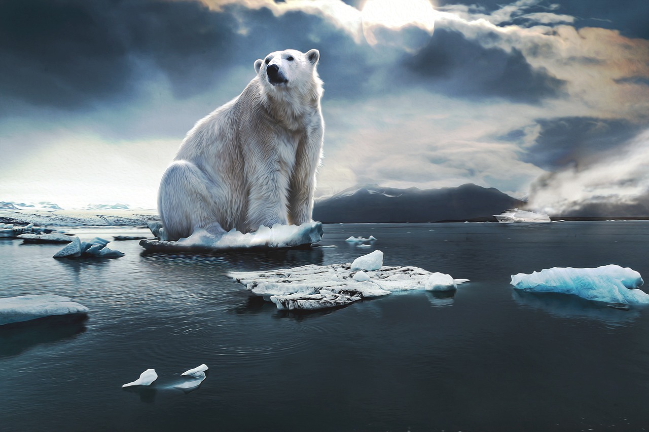 icebear, glacier, cruise ship, ice cream, blue, threat, nature, environmental protection, climate change, habitat, climate, c