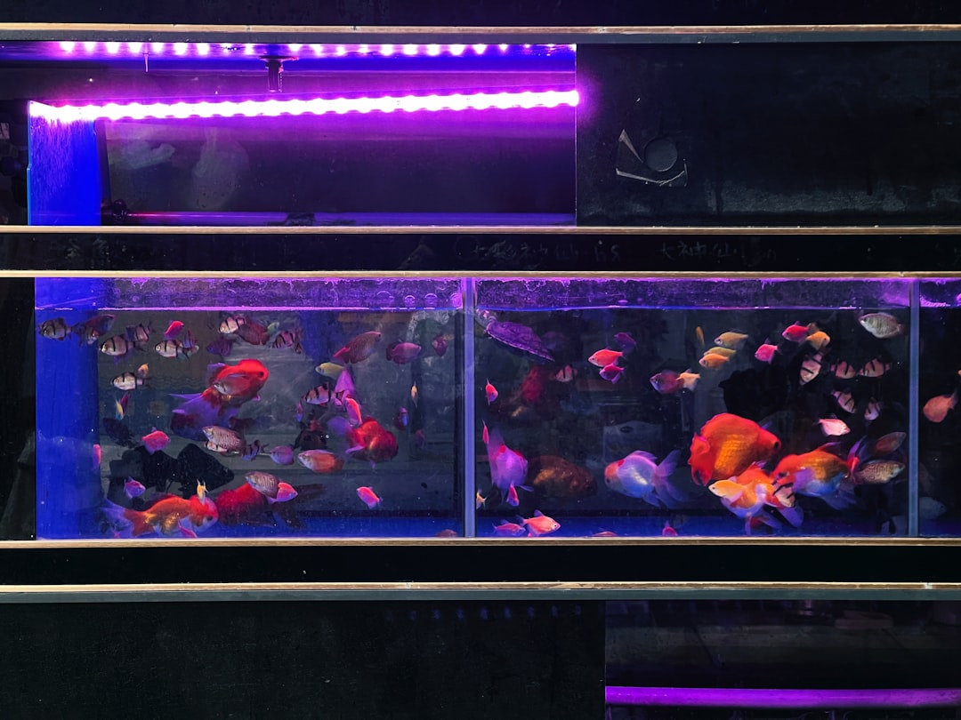 Deepavali Aquarium Theme and Lighting Ideas