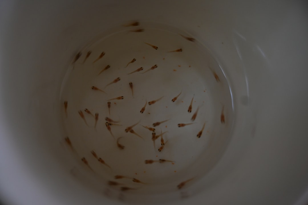 DIY Egg Tumbler Fish Breeding Build Guide