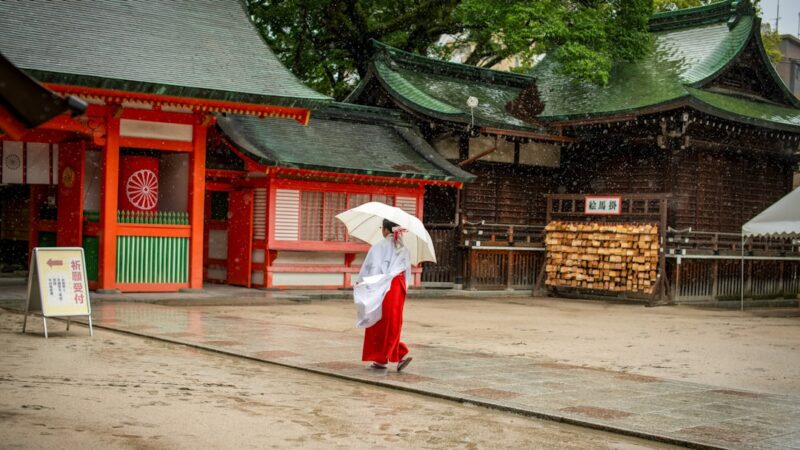 Dojo Loach Care Guide: The Friendly Weather Predictor