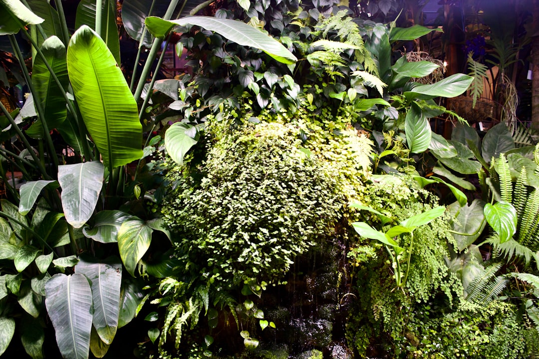 Dutch Aquascape Step by Step: Rows, Streets and Plant Groups