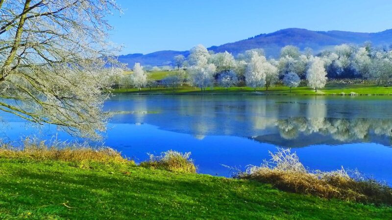 lake, winters, winter landscape, france, frozen lake, nature, cold, sky, water, trees, tank, green, lake, winter landscape, w