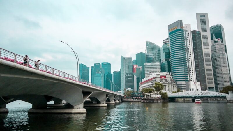 Fishkeeping on a Budget in Singapore