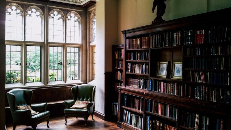 Fishless Cycling Step by Step: The Humane Way to Start