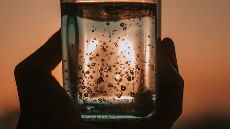 gas bubble disease aquarium — featured image for gas bubble disease aquarium guide