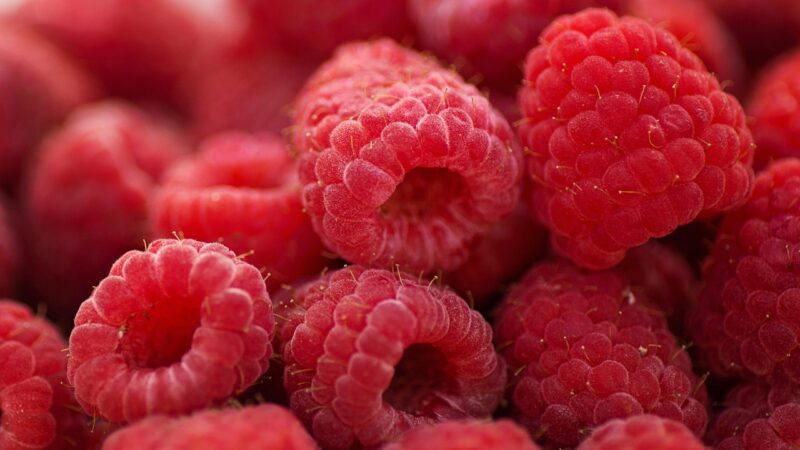raspberries, breakfast, summer, fruit, healthy, dessert, nature, sweet, berries, delicious, tasty, natural, organic, diet, nu