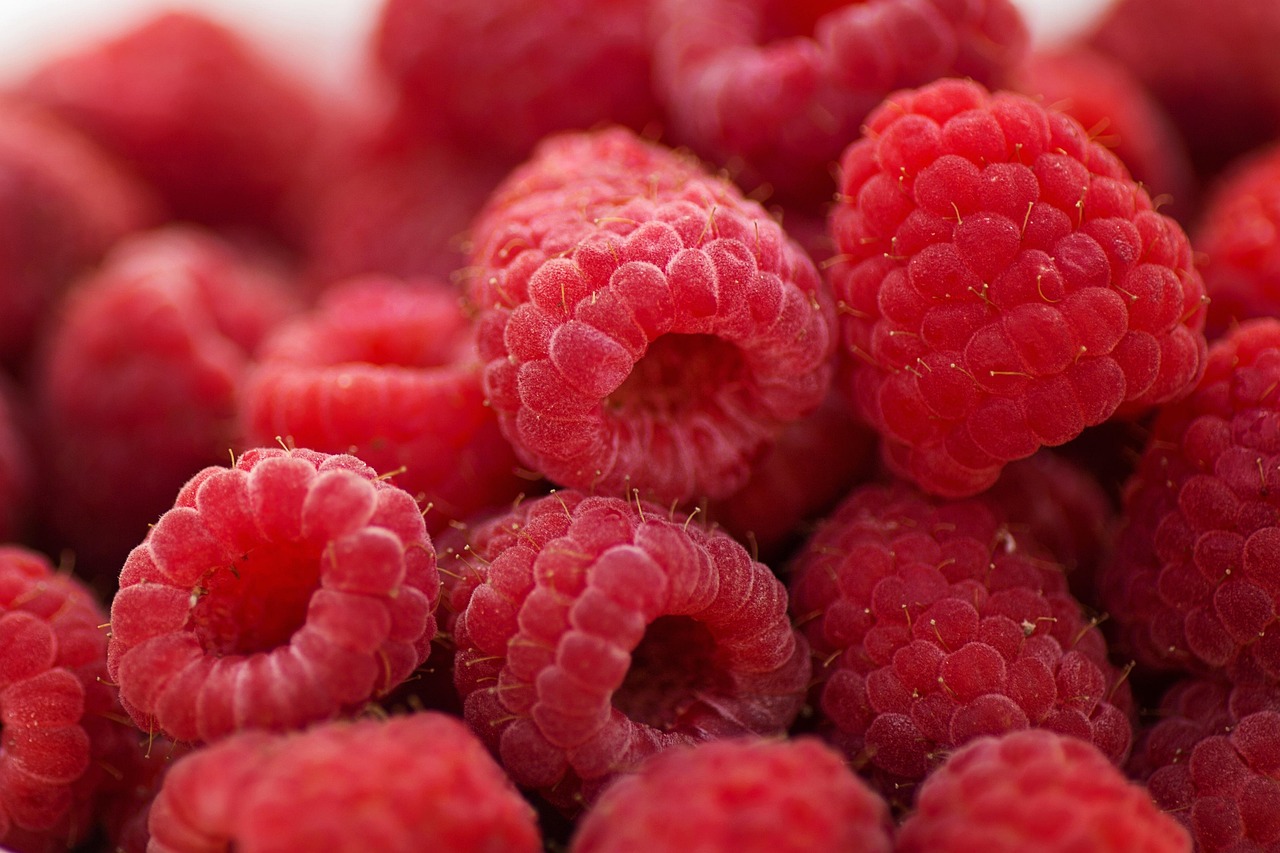 raspberries, breakfast, summer, fruit, healthy, dessert, nature, sweet, berries, delicious, tasty, natural, organic, diet, nu