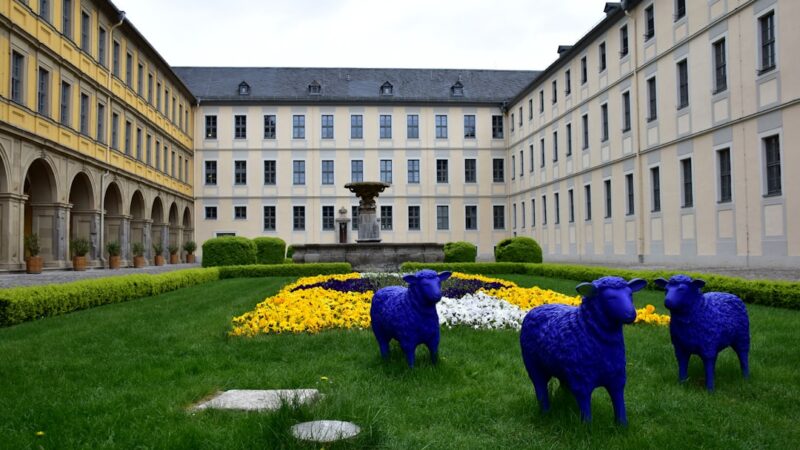 German Blue Ram Care Guide: A Stunning Dwarf Cichlid