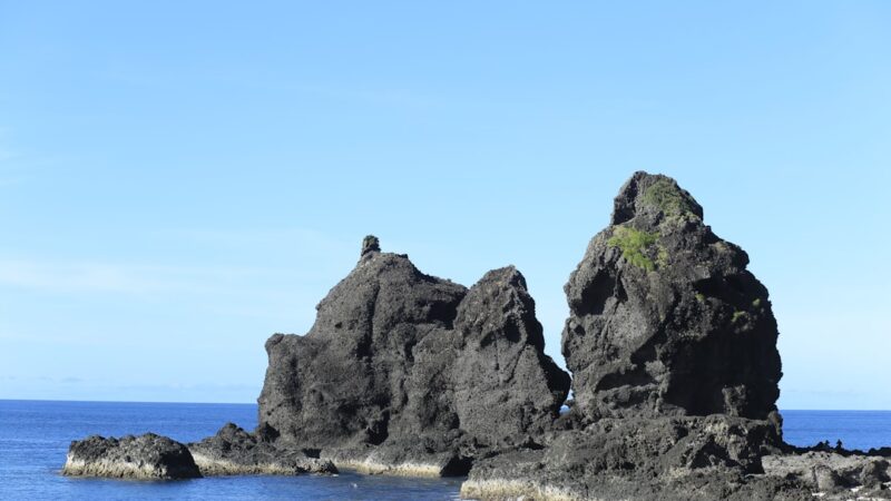 Green Terror Cichlid Care Guide: Stunning but Aggressive