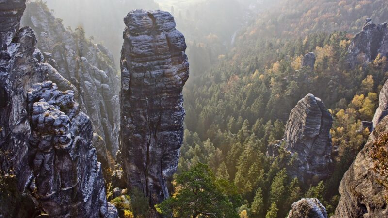 Hardscape Composition Rule of Thirds Guide: Focal and Flow