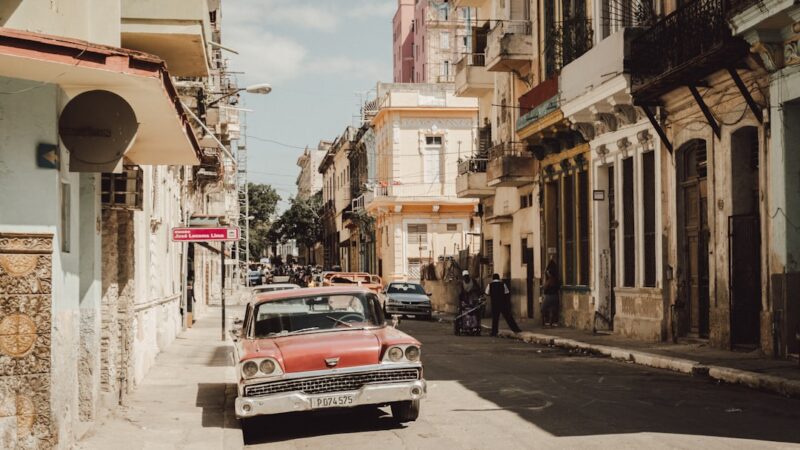 HC Cuba Care Guide: The Ultimate Carpeting Plant