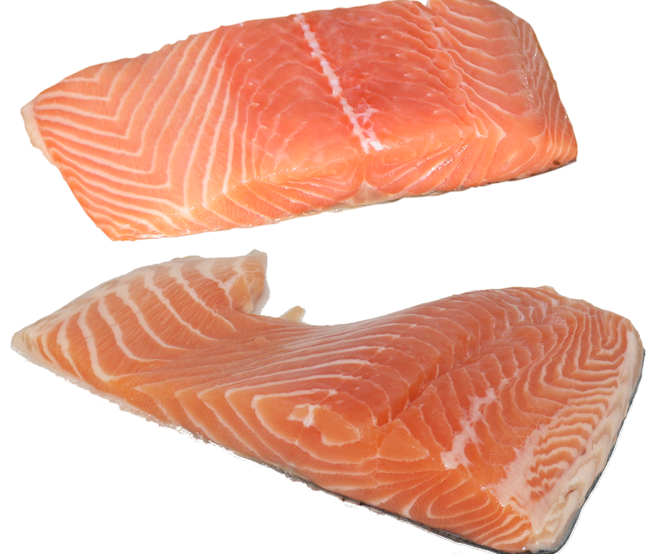 fish, salmon, fillet, omega-3, omega-6, vitamins, food, nature, health