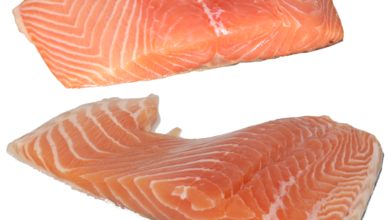 fish, salmon, fillet, omega-3, omega-6, vitamins, food, nature, health