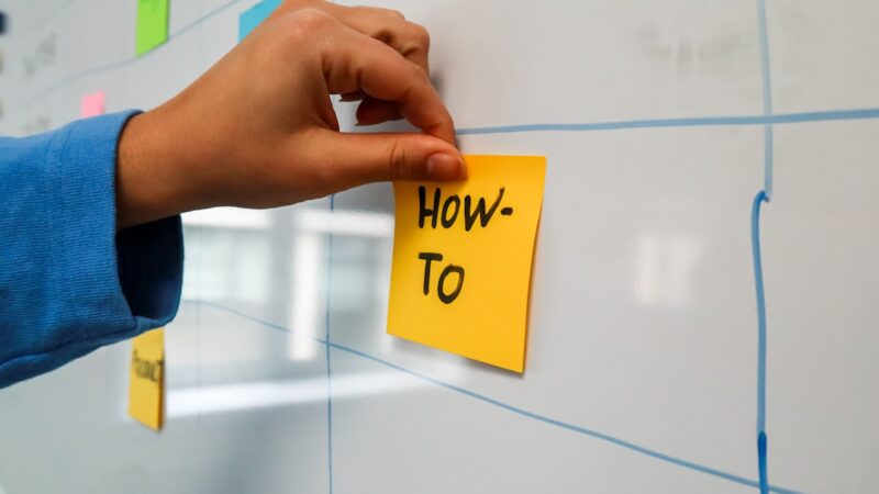 How to Document Your Aquarium Journey