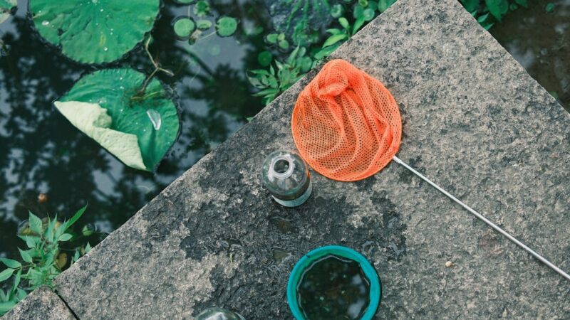 How to Drip Acclimate Fish and Shrimp Properly