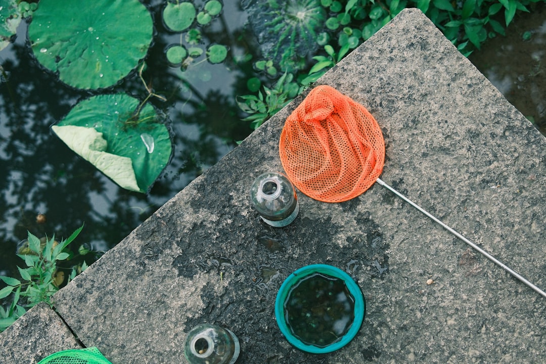 How to Drip Acclimate Fish and Shrimp Properly