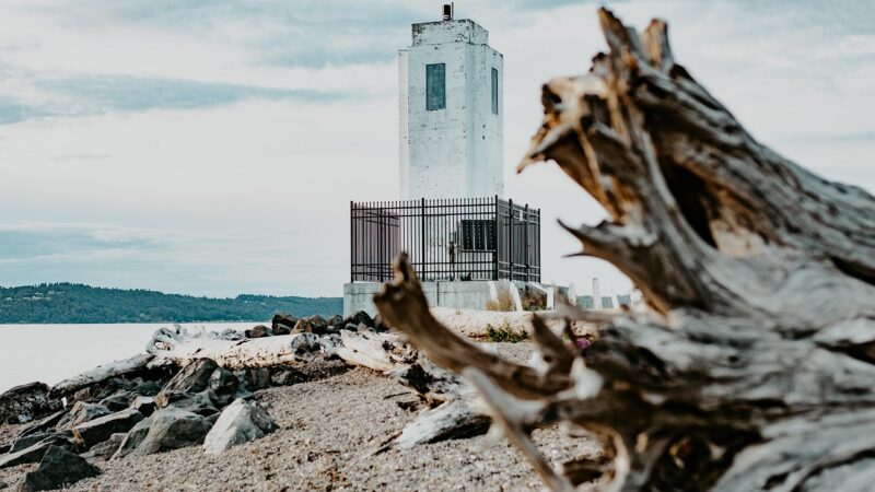 lighthouse, beach, log, sand, rocks, sea, nature, coast, ocean, landscape, lighthouse, lighthouse, lighthouse, lighthouse, li