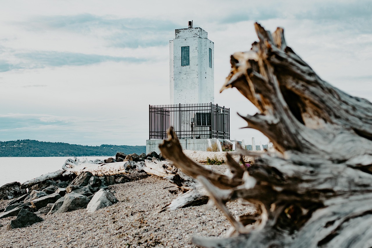 lighthouse, beach, log, sand, rocks, sea, nature, coast, ocean, landscape, lighthouse, lighthouse, lighthouse, lighthouse, li